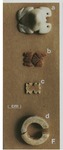 Plate VF - Perforated Prehistoric Ornaments Of Curaçao And Bonaire, Netherlands Antilles by Jay B. Haviser