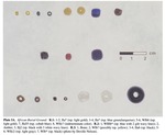 Plate IA - Beads from the African Burial Ground, New York City: A Preliminary Assessment
